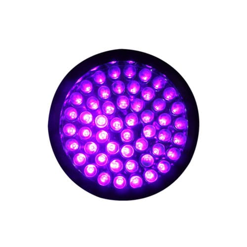 SEE9567 Torcia led per il rilevamento di tracce biologiche - Osd gruppo Ecotech srl - Allontanamento piccioni,disinfestazione,HACCP, roditori